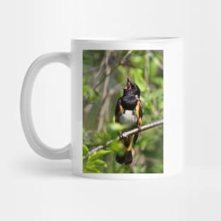 With a Song in his Heart  - Redstart Mug